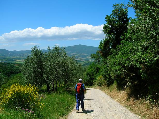 Trekking Città della Pieve – Fosso della Molinella