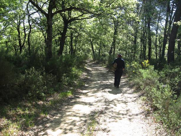 Trekking Ferretto – Petrignano