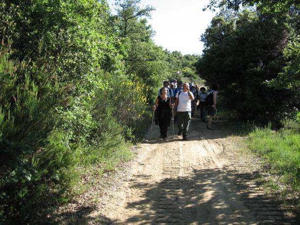 Trekking Paciano – Pausillo