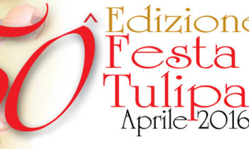 Festa del Tulipano