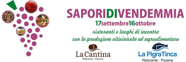 Sapori di vendemmia la cantina pigra tinca
