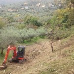 Parco Margherita panicale