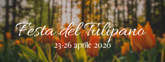 Festa del Tulipano e di Primavera – Castiglione del lago