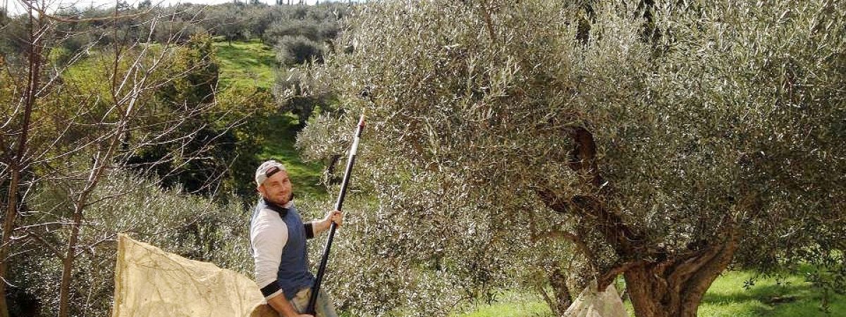 appartamenti agriturismo La Fonte lago trasimeno Tenuta di Caiolo Panicale (12)