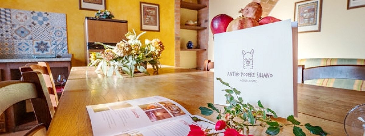 appartamenti agriturismo vacanza città della pieve Antico Podere Siliano (1)