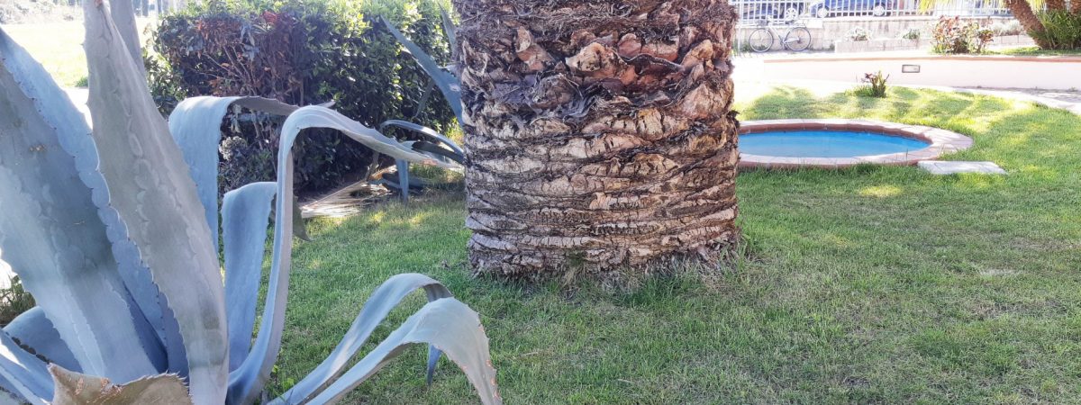 Hotel Trasimeno - TrasimenoLand (4)
