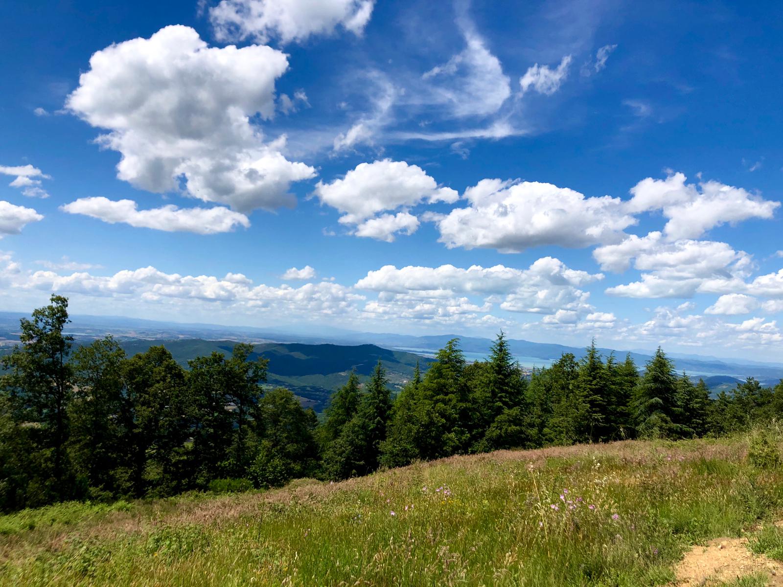 Panorama-Monte-Arale