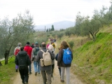 Trekking Missiano – Petrarvella – Panicale