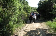 Trekking Paciano – Pausillo