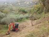 A Panicale, lavori di straordinaria manutenzione nell’area verde a ridosso del centro storico. Al via il completamento della scultura di Beverly Pepper.