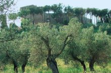 Trekking Sanguineto – Monte Gualandro