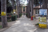 Camping Kursaal