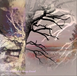 Racchiusi in una mostra i 20 anni trascorsi in Umbria dall’artista e blogger Dorothy Berry-Lound