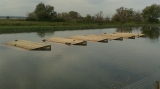 Trasimeno: traslocate 2500 tartarughe del Centro Ittiogenico